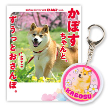 「Walk forever with Kabosu」memorial photobook